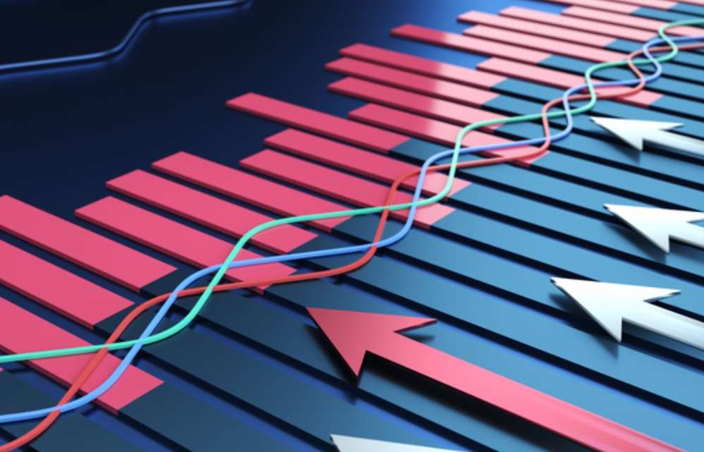 India Cuts Rates by 25 Basis Points